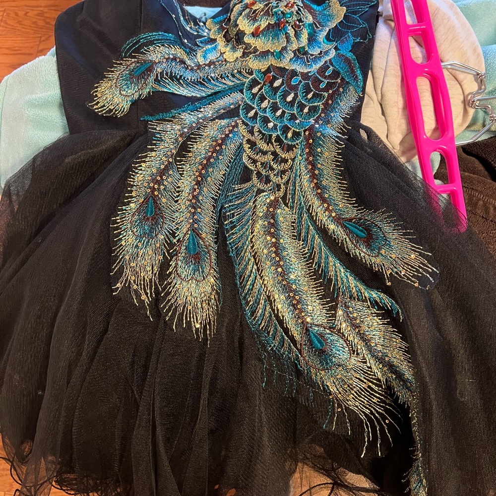 Black Dress with Peacock Embroidery